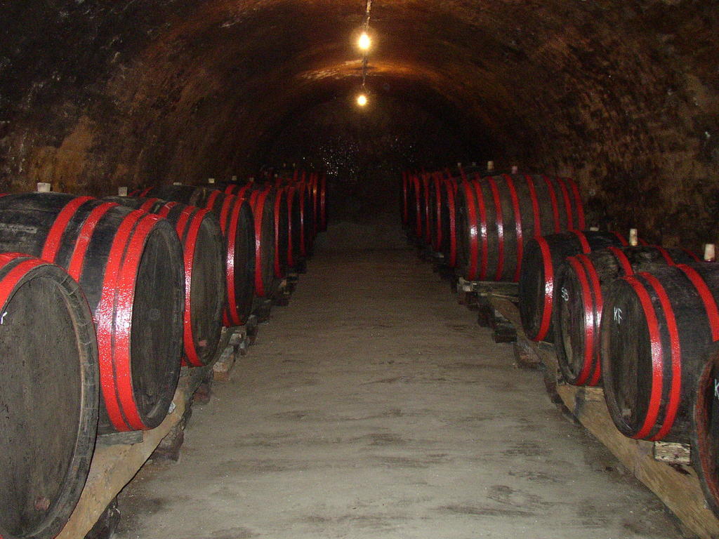 Podrumi Kolar "Suza Baranje" Kneževi Vinogradi エクステリア 写真