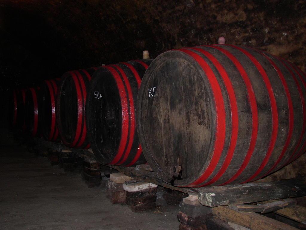 Podrumi Kolar "Suza Baranje" Kneževi Vinogradi エクステリア 写真